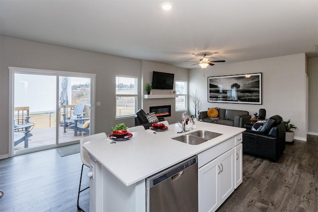 kitchen featuring dark wood-style flooring, a sink, stainless steel dishwasher, open floor plan, and a wealth of natural light