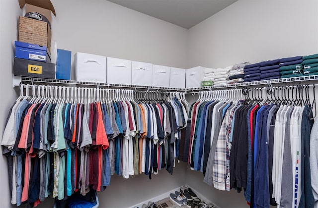 view of spacious closet