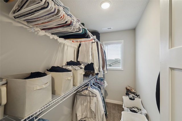 3325 Wolf Creek Rd SW, Bondurant, IA 50035 - walk in closet featuring carpet floors and visible vents