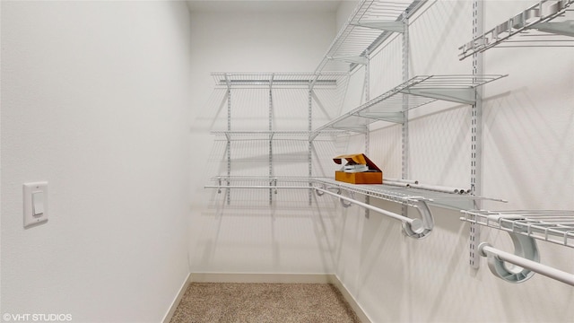 202 Meadowlark Dr, Monroe, IA 50170 - walk in closet featuring carpet floors