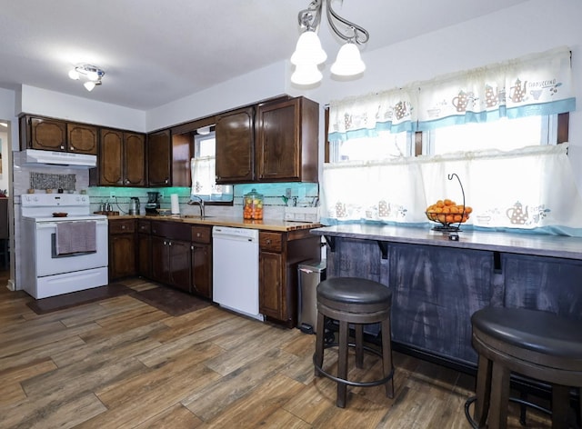 kitchen with a sink, under cabinet range hood, dark brown cabinetry, white appliances, and dark wood-style flooring