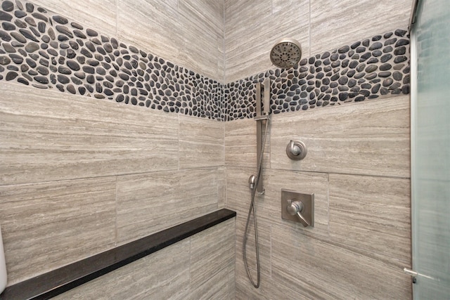 interior details with tiled shower