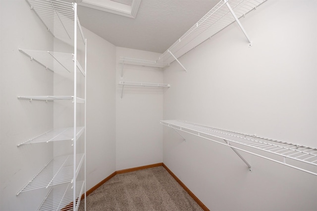 walk in closet with attic access and carpet