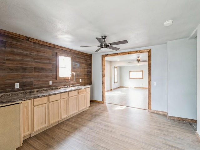 kitchen with baseboards, light brown cabinetry, a sink, light wood-style floors, and wood walls