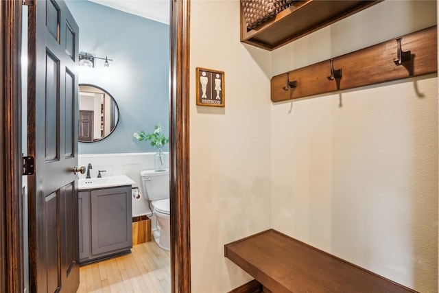 bathroom with toilet, vanity, and wood finished floors