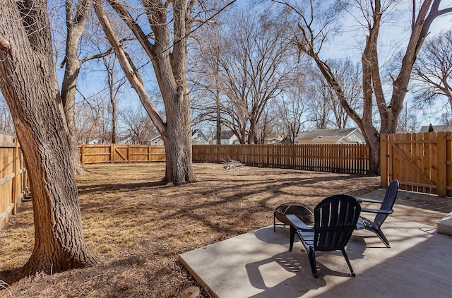 view of yard featuring a patio, a fenced backyard, and a gate