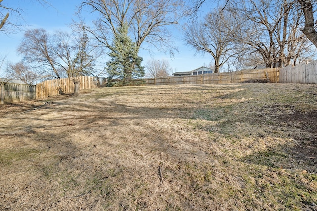 view of yard with a fenced backyard