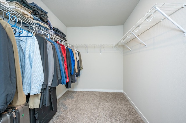 walk in closet featuring carpet flooring