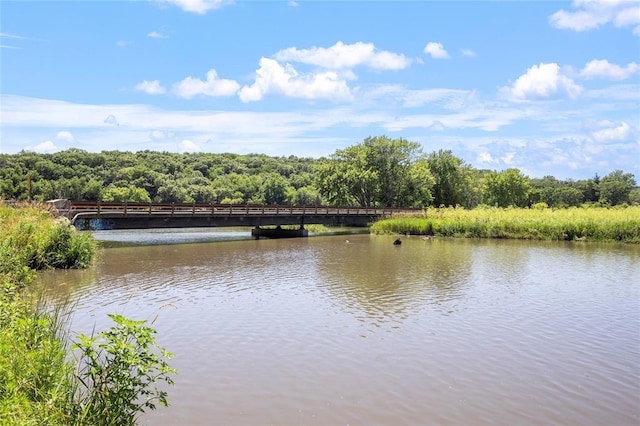 property view of water