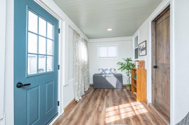 entryway featuring wood finished floors