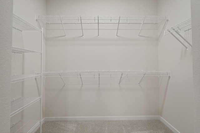 1811 Tuscany Dr SE, Altoona, IA 50009 - walk in closet featuring carpet floors