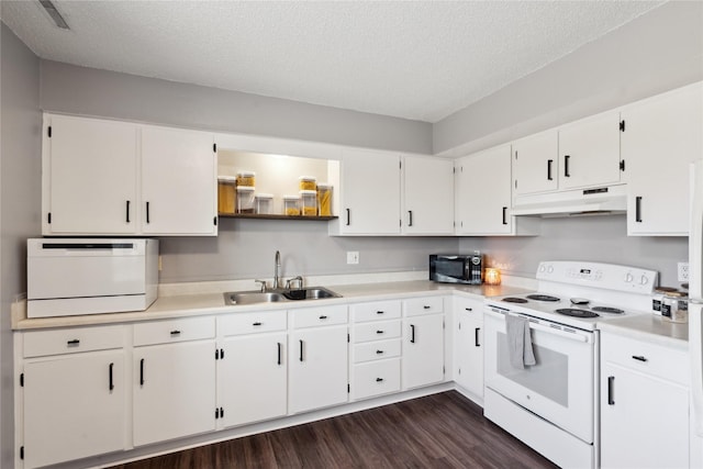 kitchen with stainless steel microwave, a sink, under cabinet range hood, electric range, and dark wood-style flooring