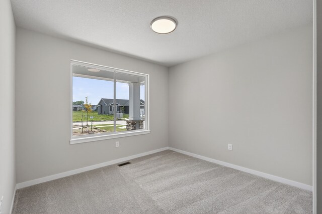 1803 Tuscany Dr SE, Altoona, IA 50009 - spare room with carpet and a textured ceiling