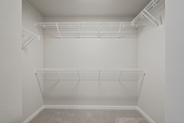 1803 Tuscany Dr SE, Altoona, IA 50009 - spacious closet featuring carpet flooring