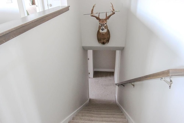 staircase with baseboards and carpet