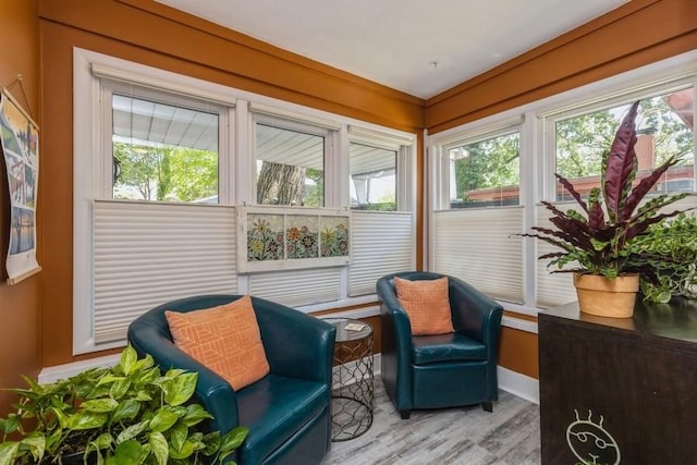 sitting room with light wood finished floors and a healthy amount of sunlight