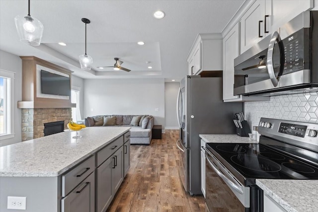 kitchen with dark wood finished floors, a fireplace, appliances with stainless steel finishes, a raised ceiling, and open floor plan