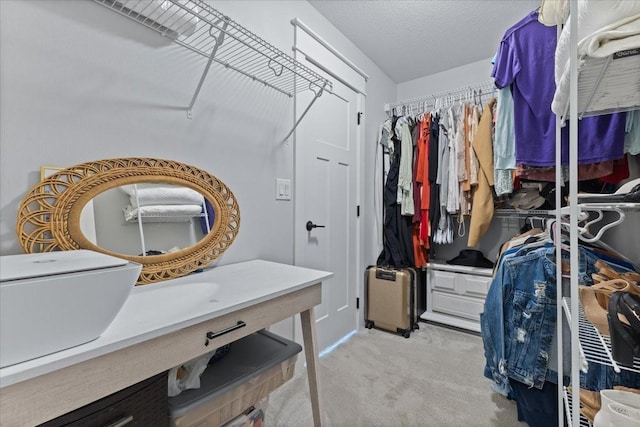 spacious closet with a sink and light carpet