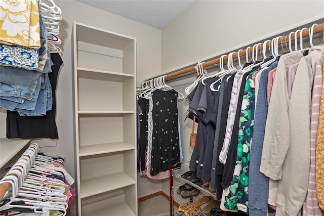 walk in closet with carpet floors