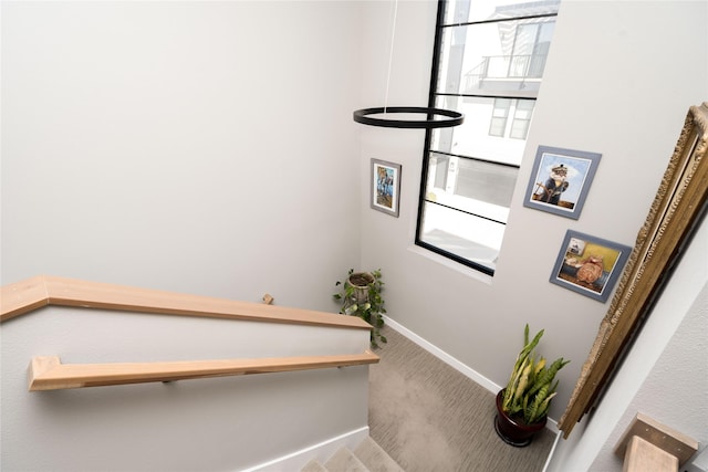 stairs with baseboards and carpet