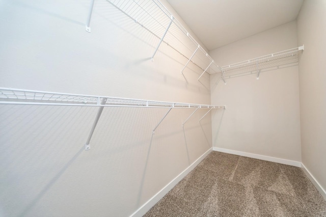 walk in closet with carpet floors