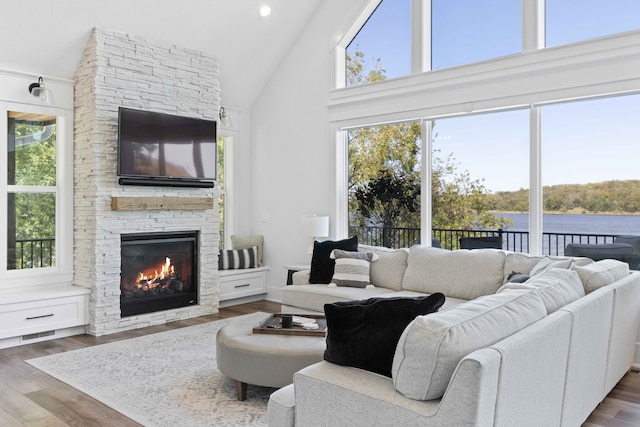 living area with a stone fireplace, a healthy amount of sunlight, and wood finished floors