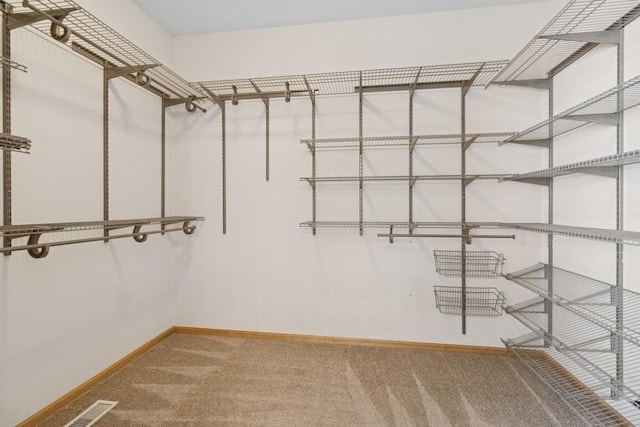 spacious closet featuring visible vents and carpet flooring