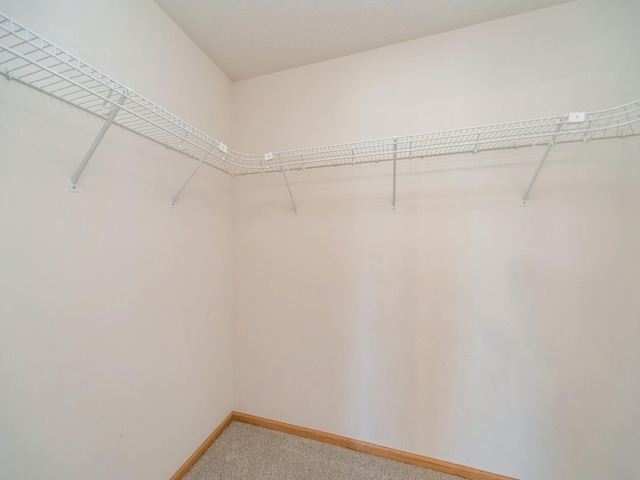 1904 NW Ashton Ln Unit 3, Ankeny, IA 50023 - spacious closet with light colored carpet