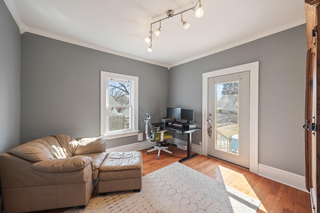 office area featuring a wealth of natural light, crown molding, and hardwood / wood-style flooring