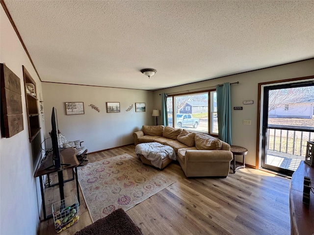 living area featuring a textured ceiling and wood finished floors