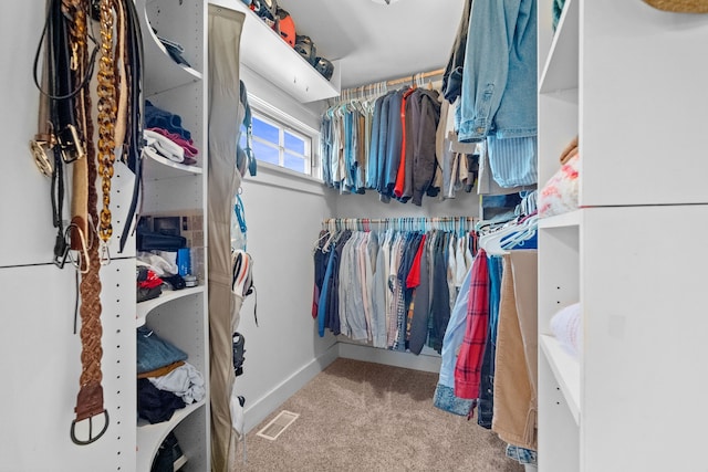 spacious closet featuring visible vents and carpet