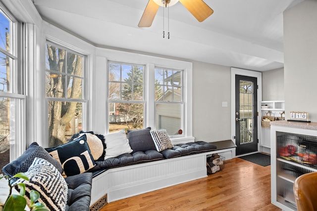 interior space with a wealth of natural light, a fireplace, ceiling fan, and wood finished floors