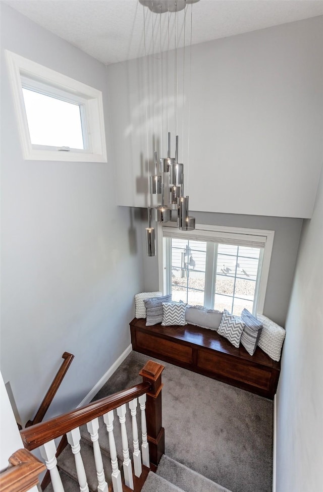 stairs featuring carpet and baseboards