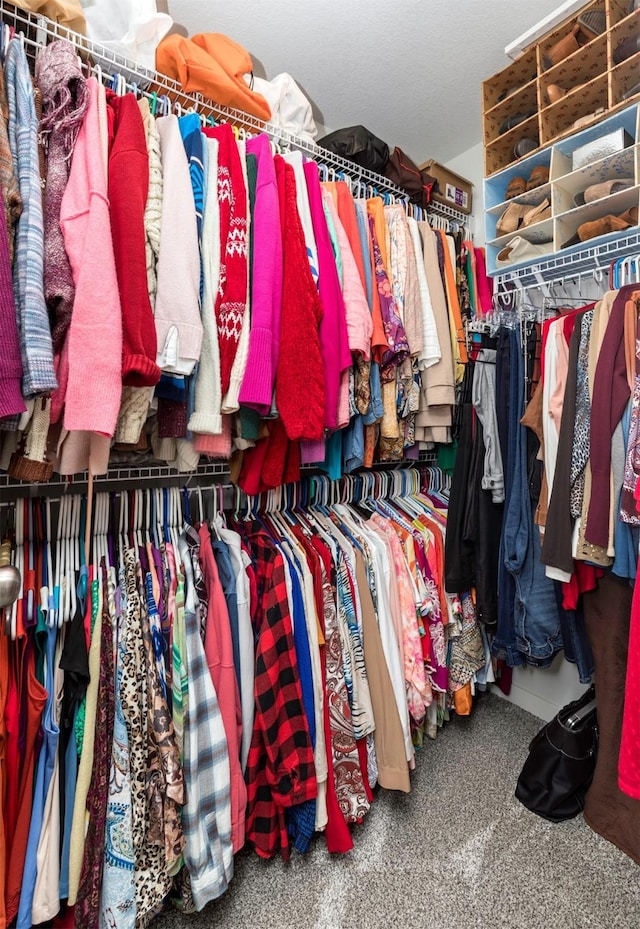 view of walk in closet