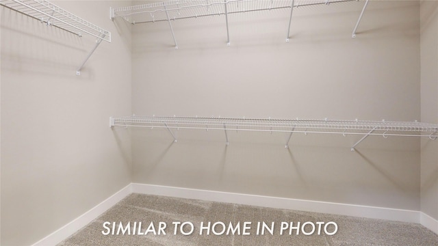 spacious closet with carpet