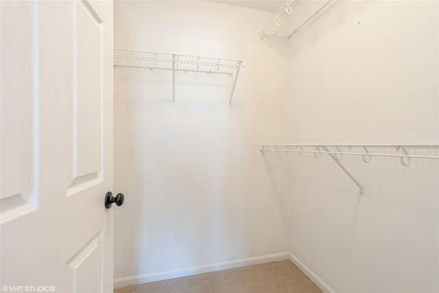 view of spacious closet