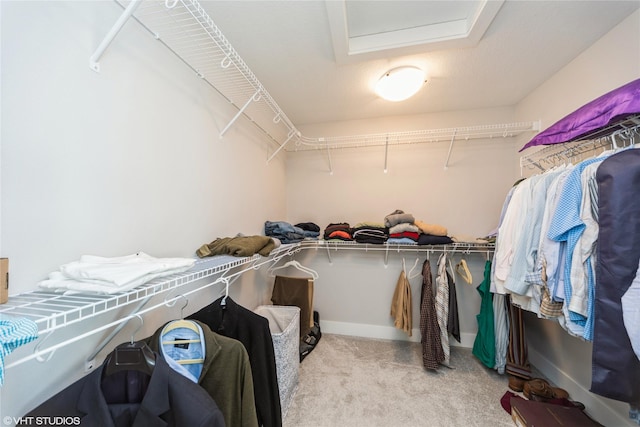 spacious closet with attic access and carpet flooring