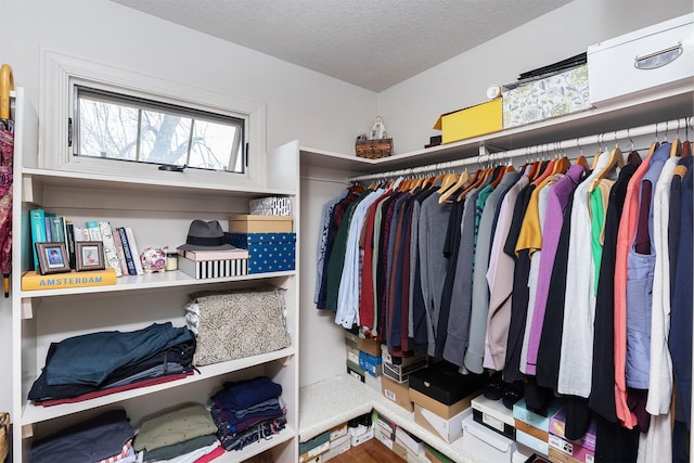 view of walk in closet