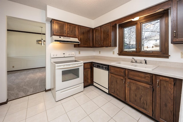 kitchen featuring under cabinet range hood, a sink, a textured ceiling, white appliances, and light colored carpet