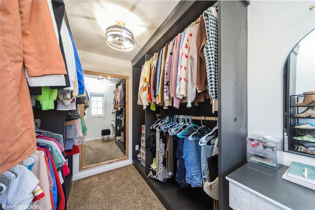 walk in closet featuring carpet floors