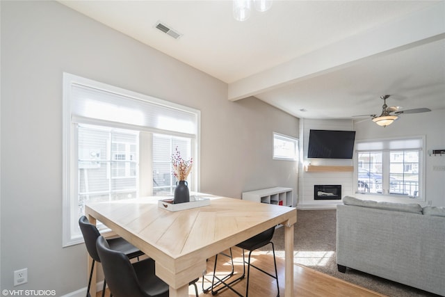 dining space featuring visible vents, ceiling fan, beamed ceiling, light wood-type flooring, and a large fireplace