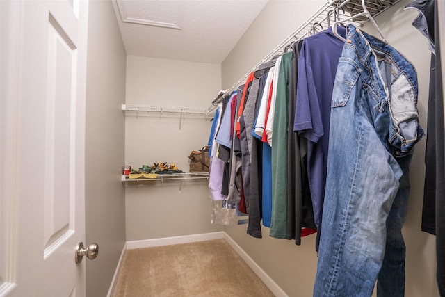 walk in closet with carpet floors