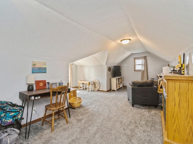 410 1st St S, Newton, IA 50208 - carpeted office with baseboards and vaulted ceiling