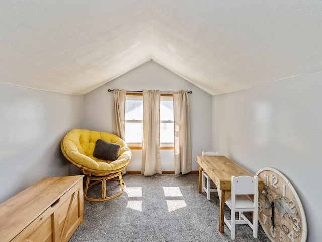 410 1st St S, Newton, IA 50208 - living area featuring light colored carpet, a textured ceiling, and lofted ceiling