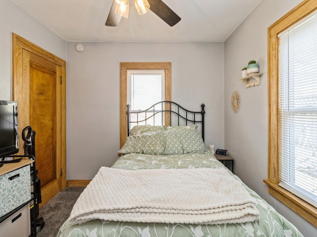 410 1st St S, Newton, IA 50208 - bedroom featuring carpet floors, a ceiling fan, and multiple windows
