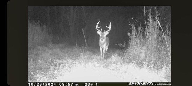 000 Odessa Pl, Bouton, IA 50039 - photo 5
