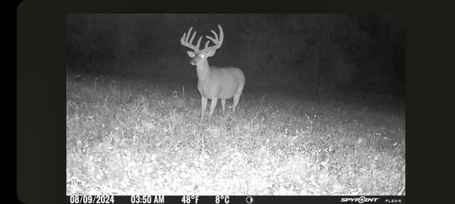 000 Odessa Pl, Bouton, IA 50039 - photo 6