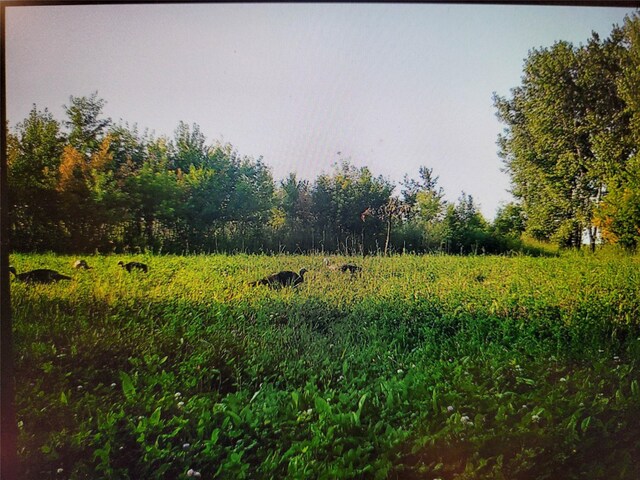 000 Odessa Pl, Bouton, IA 50039 - photo 11