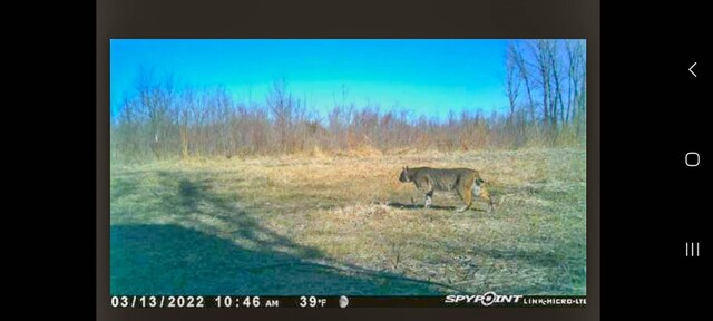000 Odessa Pl, Bouton, IA 50039 - photo 29