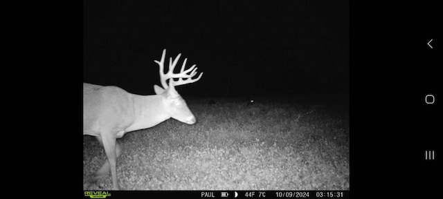 000 Odessa Pl, Bouton, IA 50039 - photo 31